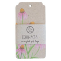 SOW 'N SOW Gift Tags - Echinacea - Pack 10