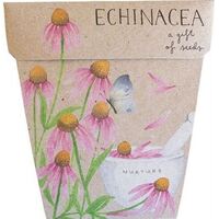 SOW ''N SOW Gift of Seeds Echinacea 