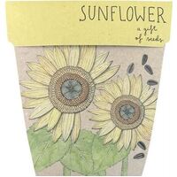SOW ''N SOW Gift of Seeds Sunflower 