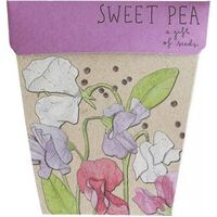 SOW ''N SOW Gift of Seeds Sweet Pea